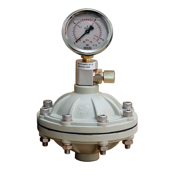 隔膜式脈沖阻尼器PVDF