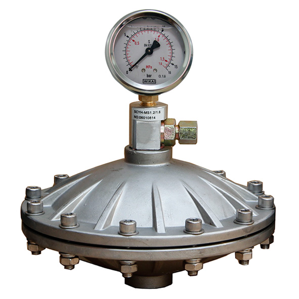 隔膜式脈沖阻尼器SS